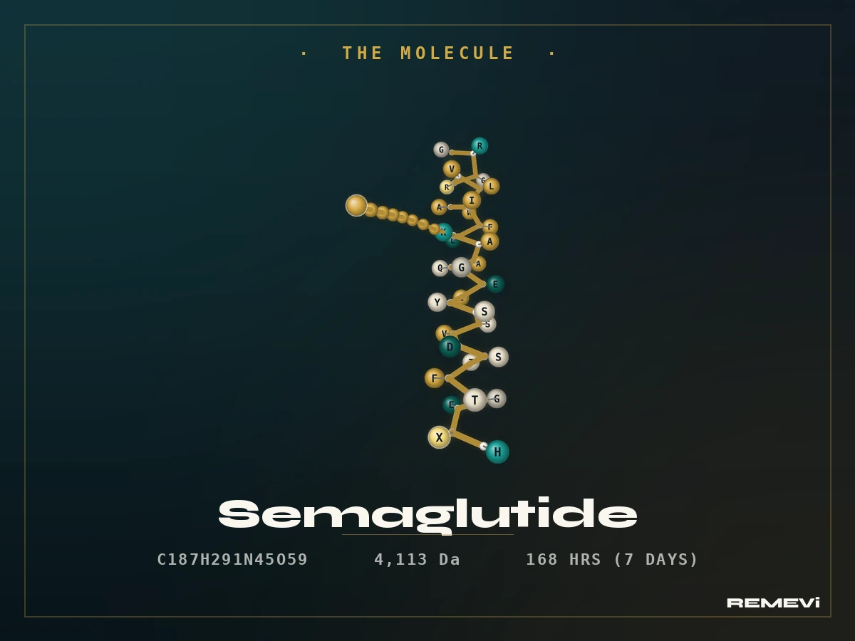 Diagram of the semaglutide molecule alongside the thyroid gland, illustrating the FDA boxed warning about C-cell tumors
